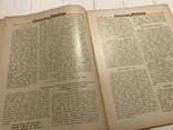 Масаник і Карпатська Україна, Самостійна Україна, фото №9