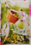 Открытки цветы букеты садоводство природа лес весна лето осень велосипеды книги, фото №4