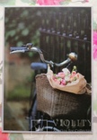 Открытки цветы букеты садоводство природа лес весна лето осень велосипеды книги, фото №7