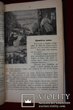 3 книги Горбунов-Посадов Красное солнышко,Золотые колосья,Ясная звездочка,, фото №5