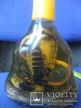 Кобра и скорпион в бутылке., фото №2