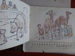 Розмальовки "В зоопарке", фото №3