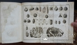 Начальные основания естественной истории. В. Севергин. 1791 - 1794 года., фото №11