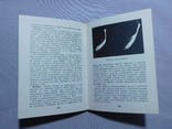 Голубая нива Приднепровья. Рыболовство на Днепре. Днепропетровск 1978, фото №10