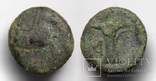 Еоліда, м.Кіми, IV-III ст.до н.е. – протома коня / скіфос, фото №2