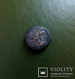 Античная монета города Амис., фото №3