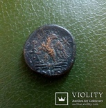 Античная монета города Амис., фото №6