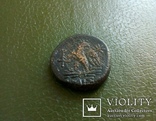 Античная монета города Амис., фото №7