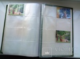 Альбом для кишенькових календарів на 422 шт, фото №4