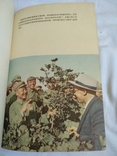 Китайская книга Соцреализм, фото №6