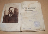 Воровский "Литературные очерки" 1923 год, фото №4