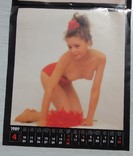 Календарь постер с девушками эротика, фото №6