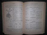 Справочник садовода.1956 год., фото №8