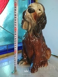 Собака щенок сеттер большая коллекционная копилка 31 см, фото №3