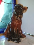 Собака щенок сеттер большая коллекционная копилка 31 см, фото №8