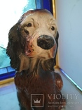 Собака щенок сеттер большая коллекционная копилка 31 см, фото №12