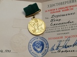 Большая золотая медаль за успехи в сельском хозяйстве, фото №3