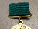 Большая золотая медаль за успехи в сельском хозяйстве, фото №9