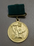 Большая золотая медаль за успехи в сельском хозяйстве, фото №2