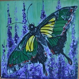 Картина "Метелик", 40х40 см., акрил, липень 2019 р., Овдієнко Марина, 12 років, фото №2