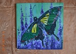 Картина "Метелик", 40х40 см., акрил, липень 2019 р., Овдієнко Марина, 12 років, фото №3