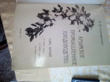 "Крымское промышленное плодоводство" томъ первый. Москва - 1912 г., фото №3
