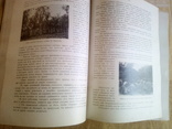 "Крымское промышленное плодоводство" томъ первый. Москва - 1912 г., фото №7