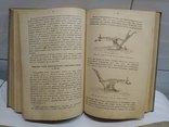 Книги Земледелие 3 шт. 1911-1914 гг., фото №8