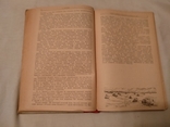 1939 Значение тыла танковые войска, фото №9