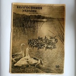 Українська колгоспниця 1941 р., фото №2