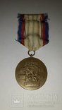 Медаль  за Чехословакию, фото №5