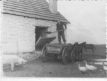 Фото    2 шт  сельхозработы , телега , лошадь , рабочий 57г Сахновщина, фото №2