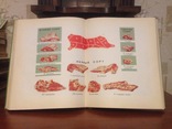 Книга  о вкусной и здоровой пище • 1963, фото №4