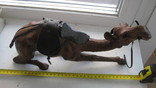 Верблюд  обделан кожей 36-17.3 см., фото №3