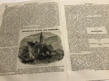 1845 Копролиты, Кофе Мокка, Литературная газета, фото №6