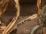 Брюки охотничьи Jack Pyke, Wild Tree Grasslands Camo, XL, фото №10