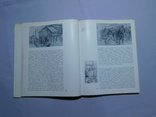 О природе книжной иллюстрации. Москва 1973, фото №6