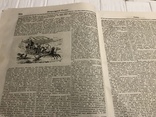 1845 Фабрикация мебели, О разведении табака, Литературная газета, фото №8