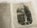 1845 О влиянии уничтожения Лесов, Чай и вино, Литературная газета, фото №2