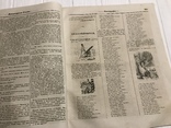 1845 Применение Электричества к земледелию, Литературная газета, фото №5