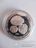 3 рубля 500 летие Единого русского государства Первые общерусские монеты, фото №2
