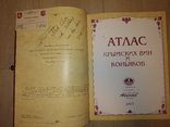 2003 Атлас крымское вино и коньяк . Массандра Коктебель Подарочное изд, фото №8