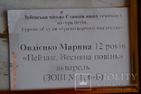 Картина "Весняна повінь", 40х30 см., акварель, квітень 2019 р., Овдієнко Марина, 12 років, фото №7