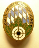 Знак стрелковый Bayer Sportschuetzen - Bund, фото №2