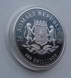 2020 г - 100 шиллингов Сомали,унция серебра,в капсуле, фото №3