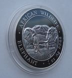 2020 г - 100 шиллингов Сомали,унция серебра,в капсуле, фото №4