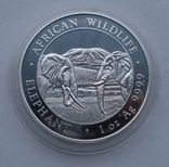 2020 г - 100 шиллингов Сомали,унция серебра,в капсуле, фото №10