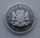 2020 г - 100 шиллингов Сомали,унция серебра,в капсуле, фото №11