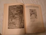 1935 Искусство Греции эпохи расцвета, фото №9