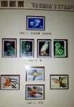 1995 г. Китай Альбом годовой набор почтовых марок Китая, фото №4